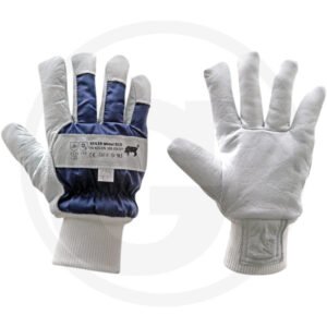 Winter ECO Blue gloves
